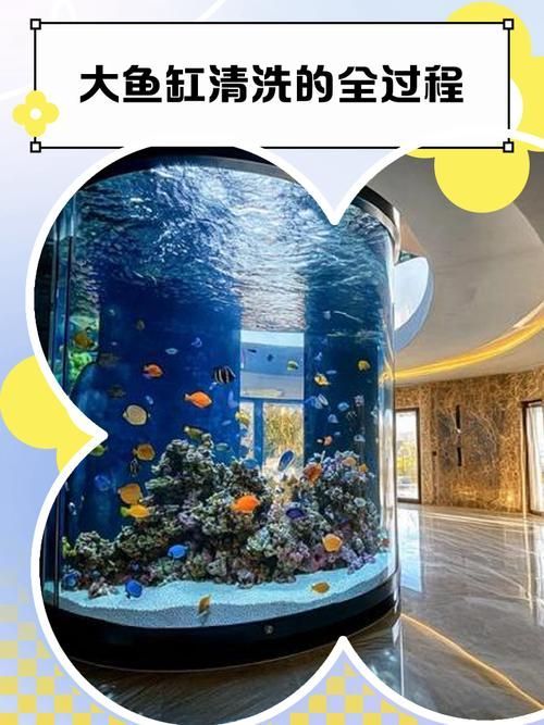 如何判斷清潔魚(yú)是否適應(yīng)龍魚(yú)缸水質(zhì)？，————科學(xué)觀察指南（清潔魚(yú)缸水質(zhì)）