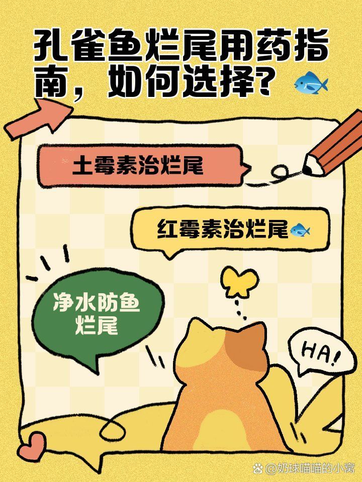 有哪些藥物可以有效治療爛尾病