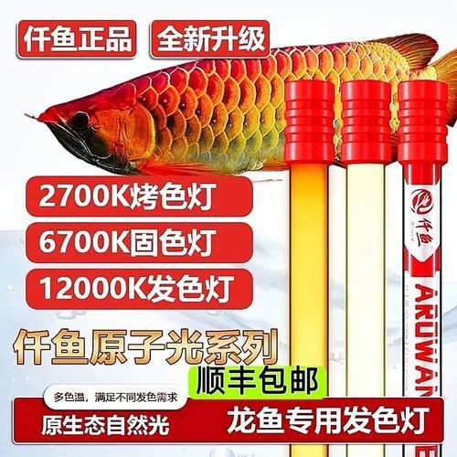 給我推薦幾款性價比高的NEC龍魚專用燈，nec龍魚專用燈具推薦