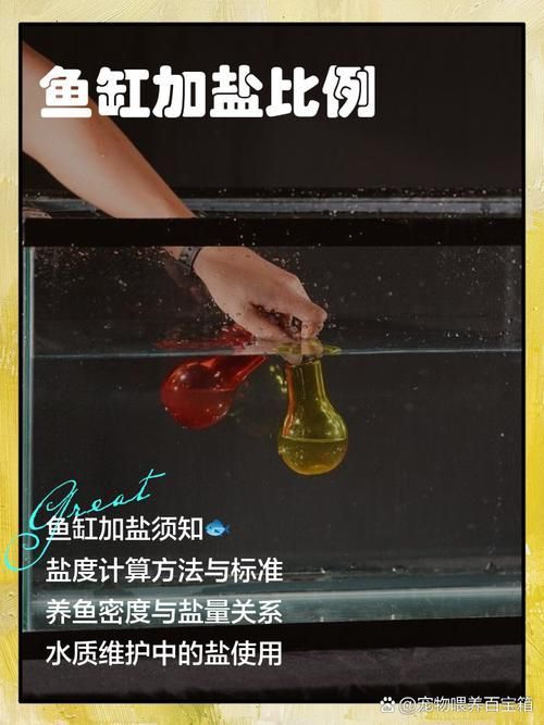魚突眼最好治療方法