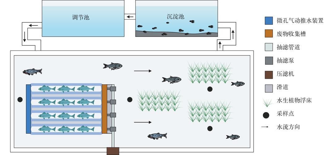 惠水龍魚有哪些養殖技術難點，惠水本地龍魚養殖的技術難點