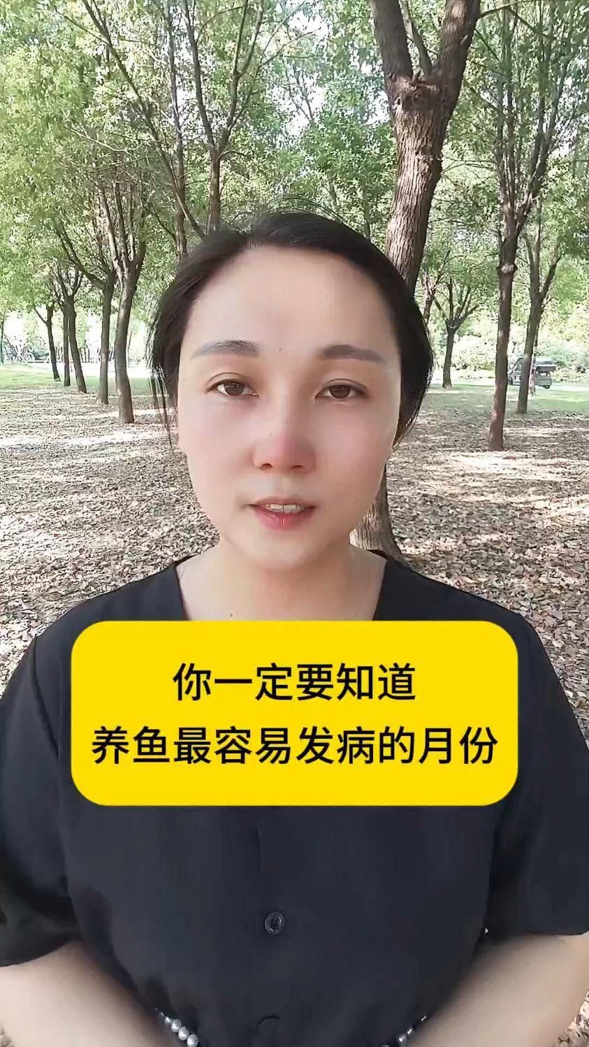 細菌性魚病的高發季節是什么時候，夏季錦鯉容易出現的四大細菌性魚病的高發季節是什么時候