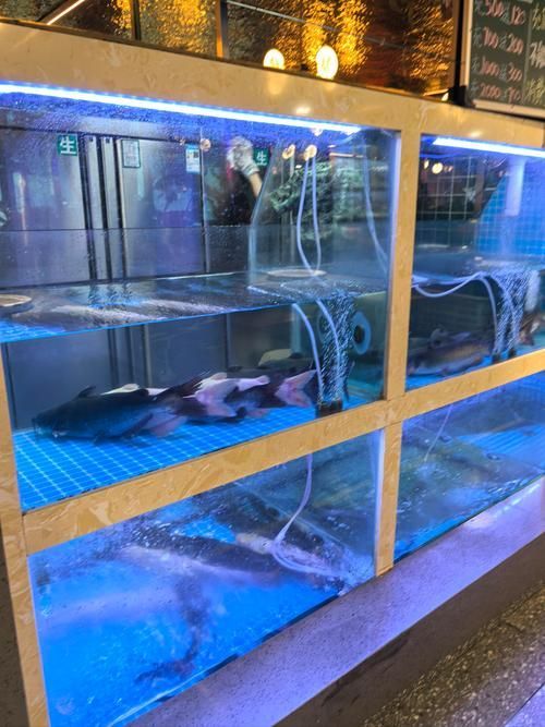 還有哪些廣東的龍魚漁場值得推薦？，廣東的龍魚漁場值得推薦嗎？