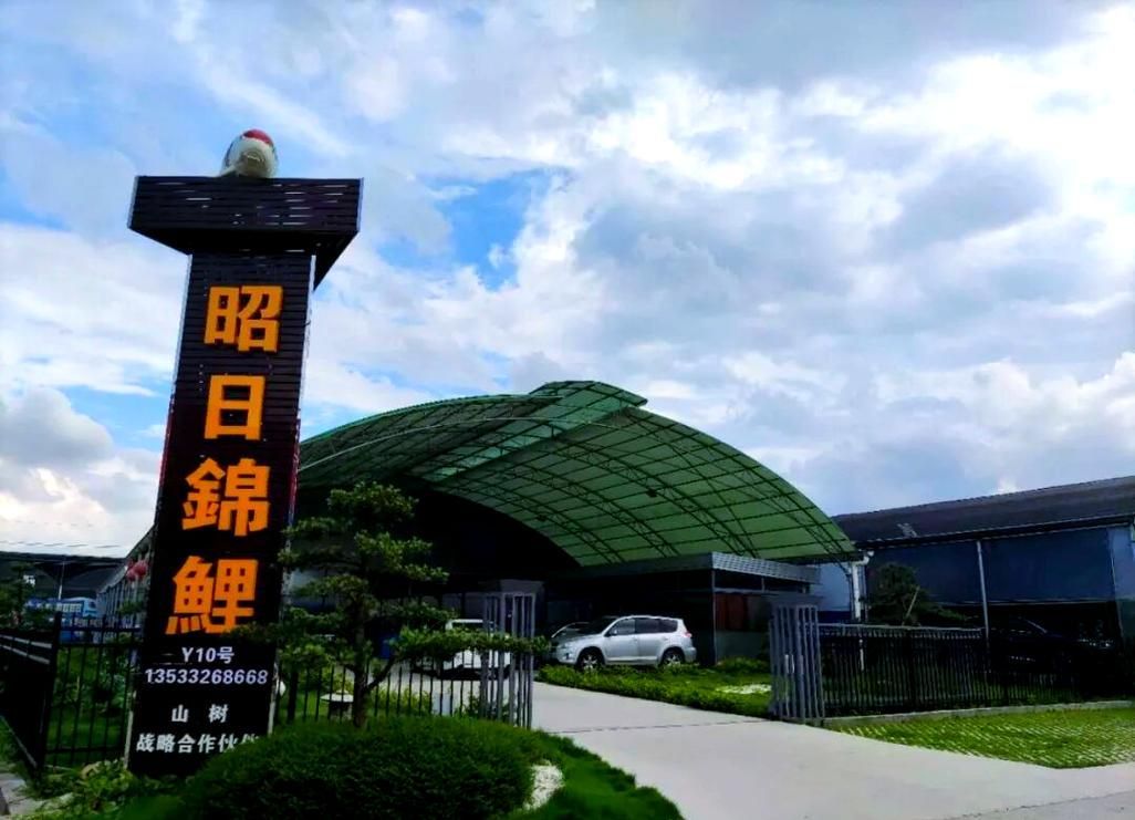 還有哪些廣東的龍魚漁場值得推薦？，廣東的龍魚漁場值得推薦嗎？