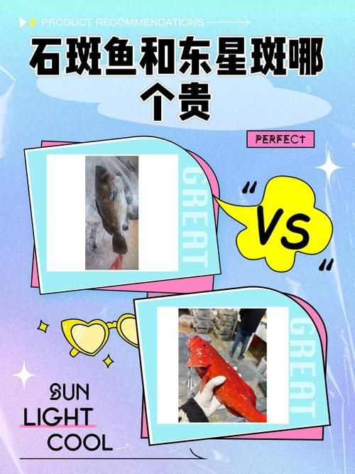 請?zhí)峁└嚓P于觀賞魚市場價值評估的圖片