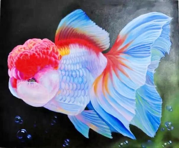 請?zhí)峁└嚓P于觀賞魚市場價值評估的圖片