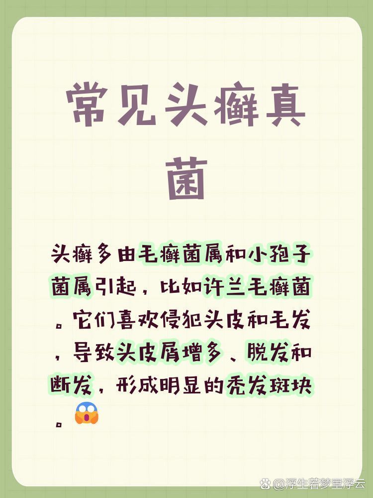 哪些真菌最容易在手上存活，———手癬日常護理清單