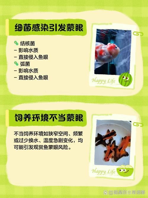 如何預防魚蒙眼病的傳播，如何預防魚中蒙眼病的傳播
