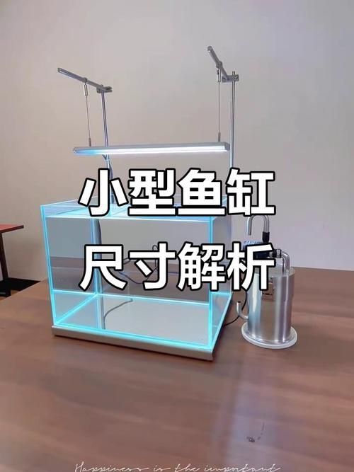 魚缸尺寸如何選擇，選擇魚缸尺寸是一個需要考慮多個因素的過程