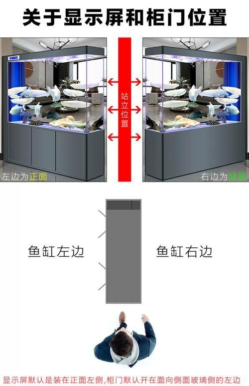 魚缸尺寸如何選擇，選擇魚缸尺寸是一個需要考慮多個因素的過程