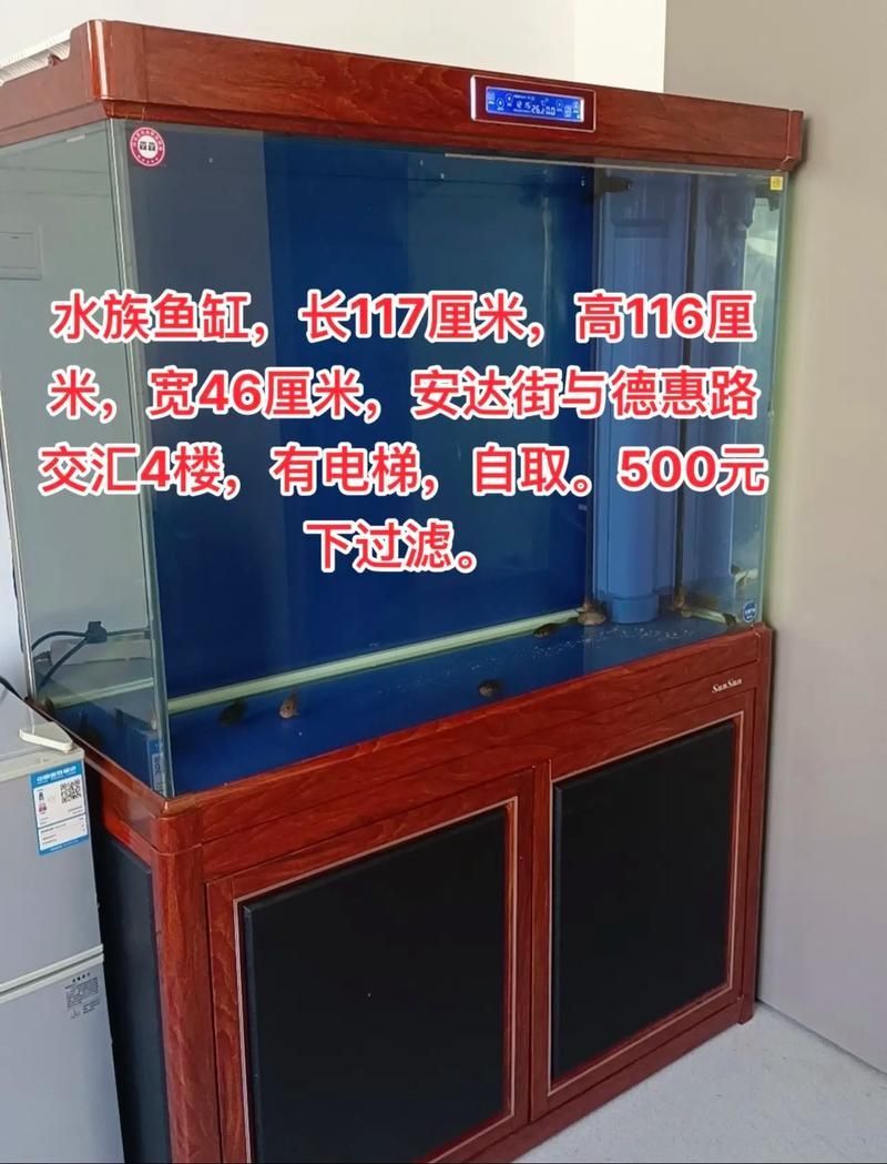 魚缸尺寸如何選擇，選擇魚缸尺寸是一個需要考慮多個因素的過程
