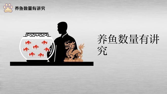 屬龍的人養魚數量有何講究，屬龍的人養魚的人養魚數量有何講究，養魚數量有何講究