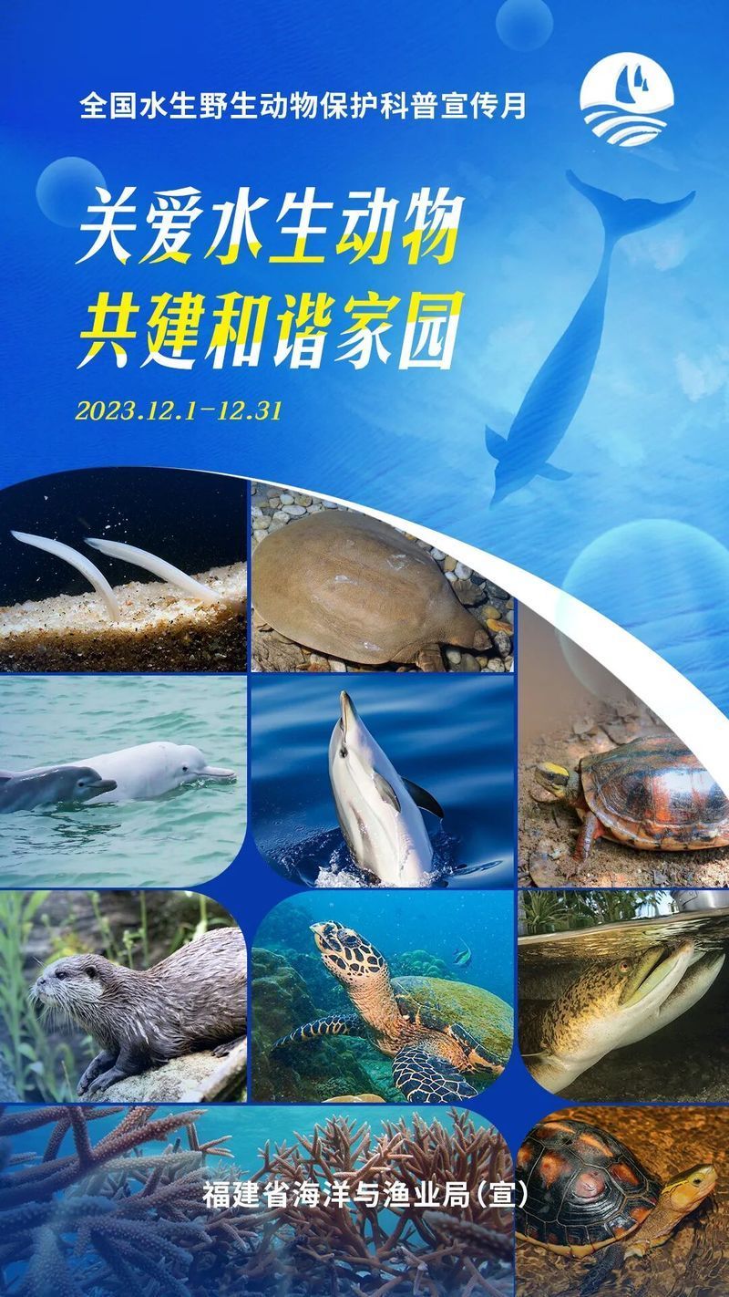 如何合法地獲取超血紅龍魚的養殖許可證？，合法獲取超血紅龍魚養殖許可證