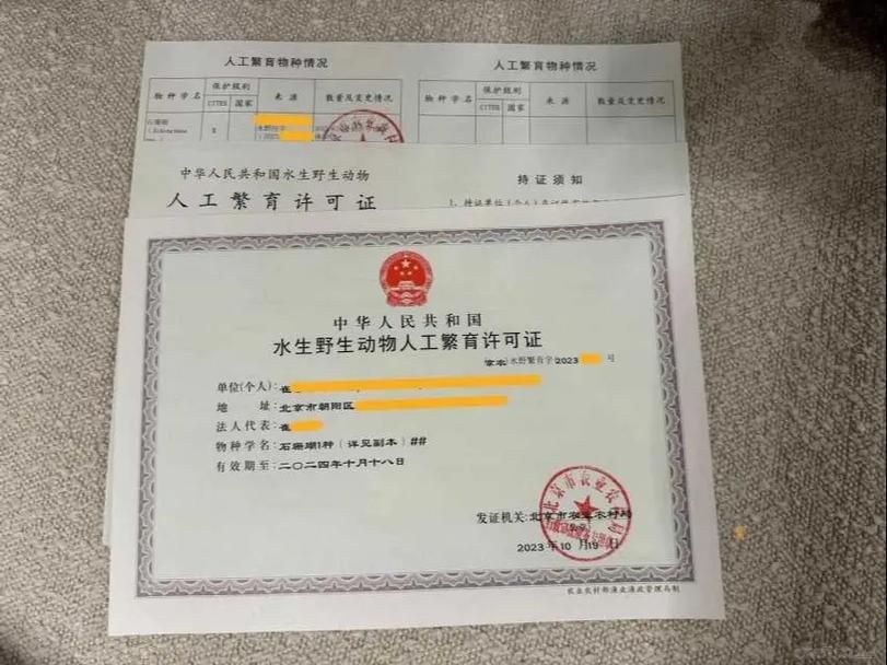 如何合法地獲取超血紅龍魚的養殖許可證？，合法獲取超血紅龍魚養殖許可證