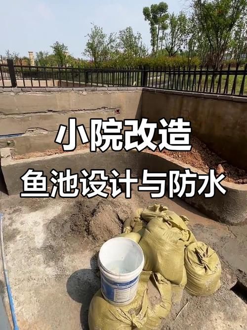 肥鄉龍魚的養殖技術有哪些？，肥鄉龍魚的養殖技術包括以下幾個方面：水質管理是關鍵
