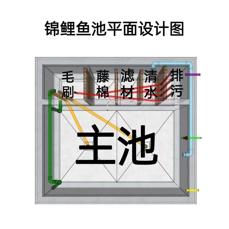 肥鄉龍魚的養殖技術有哪些？，肥鄉龍魚的養殖技術包括以下幾個方面：水質管理是關鍵