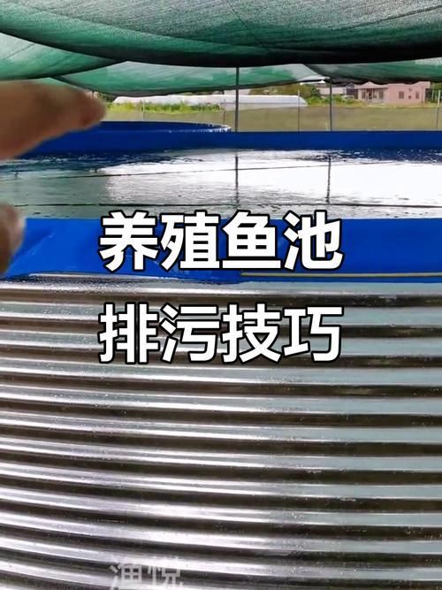 肥鄉龍魚的養殖技術有哪些？，肥鄉龍魚的養殖技術包括以下幾個方面：水質管理是關鍵