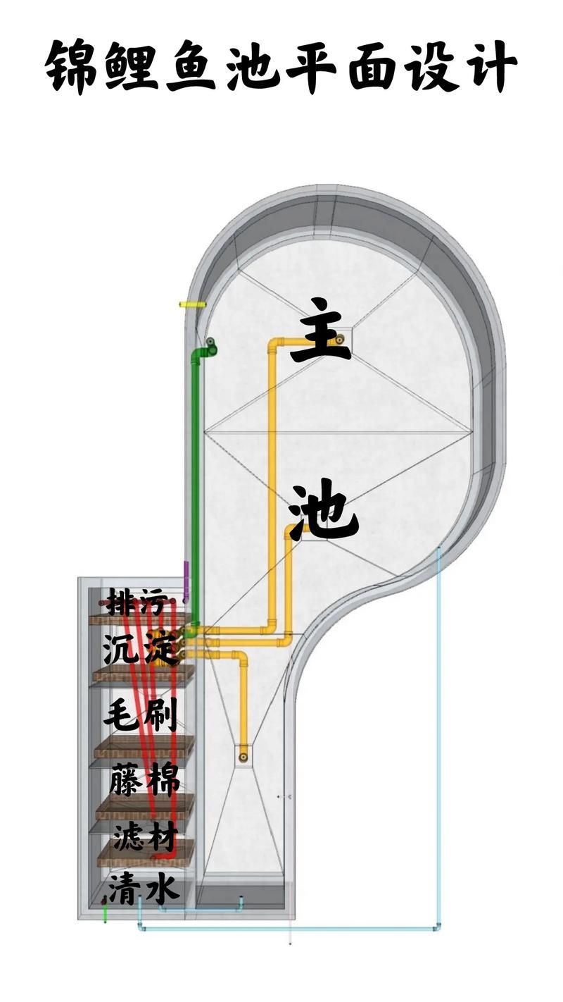 肥鄉龍魚的養殖技術有哪些？，肥鄉龍魚的養殖技術包括以下幾個方面：水質管理是關鍵