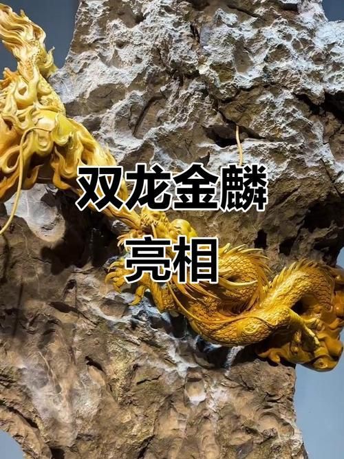 如何鑒別龍魚的真假？