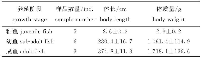 資源龍魚的重金屬含量如何？，資源龍魚的重金屬含量特征,亞洲龍魚重金屬含量特征