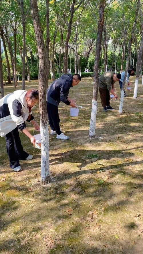 春秋季兩次防治具體如何操作，春秋季兩次養(yǎng)花操作詳解