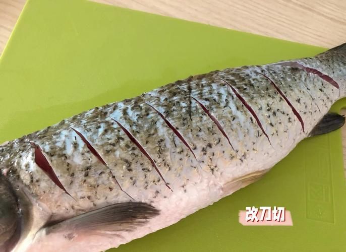 如何區分真假高背金龍魚烤魚？，———高背金龍魚烤魚“真假”