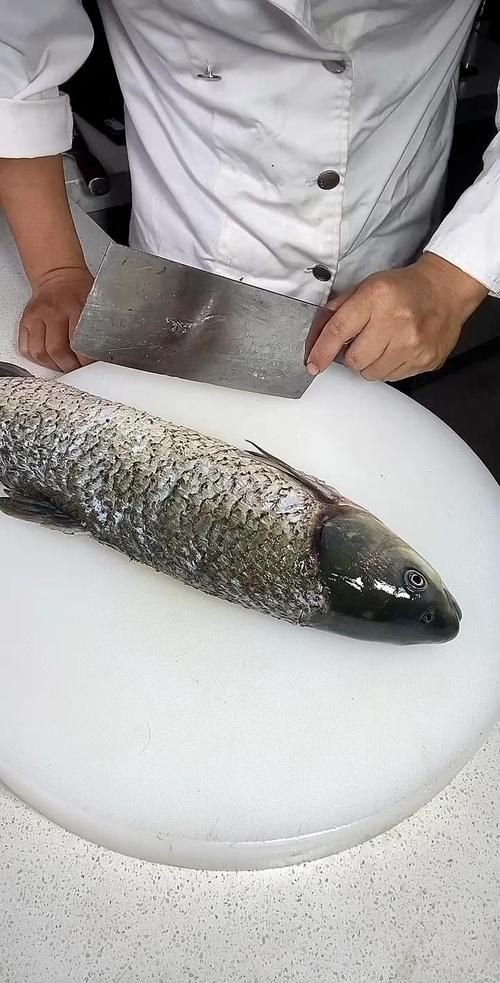 如何區分真假高背金龍魚烤魚？，———高背金龍魚烤魚“真假”