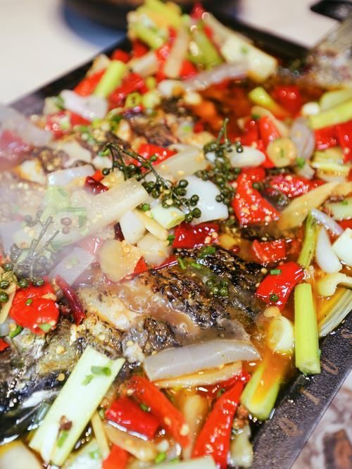 如何區分真假高背金龍魚烤魚？，———高背金龍魚烤魚“真假”