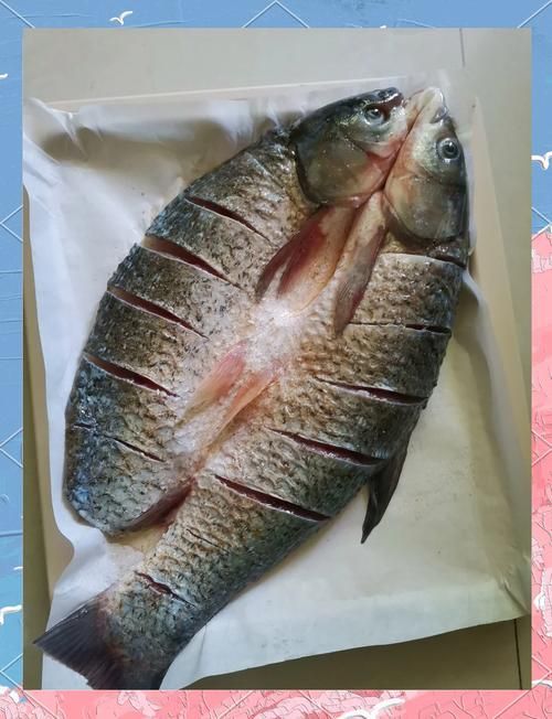 如何區分真假高背金龍魚烤魚？，———高背金龍魚烤魚“真假”