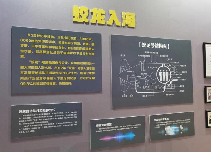 深海龍魚和觀賞龍魚哪個更有科研價值？，深海龍魚與觀賞龍魚的區別