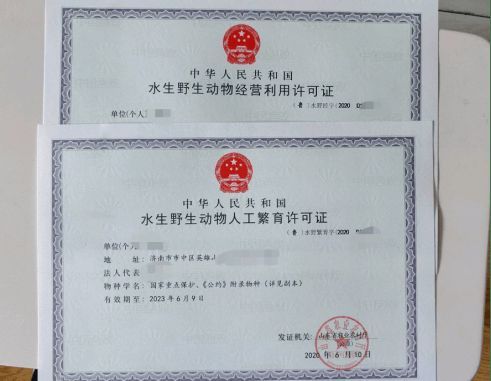 翁源縣對龍魚養殖有何具體政策？，翁源縣對龍魚養殖的具體政策