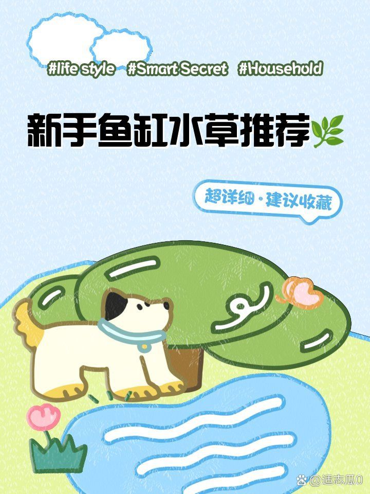 如何選擇適合龍魚缸的水草？，如何選擇適合龍魚缸的水草[emoji[需手動填充]1f495[[需手動填充]emoji[需手動填充]