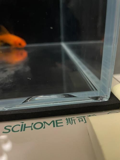 如何檢測(cè)龍魚魚缸的密封性？，如何檢測(cè)龍魚魚缸密封性