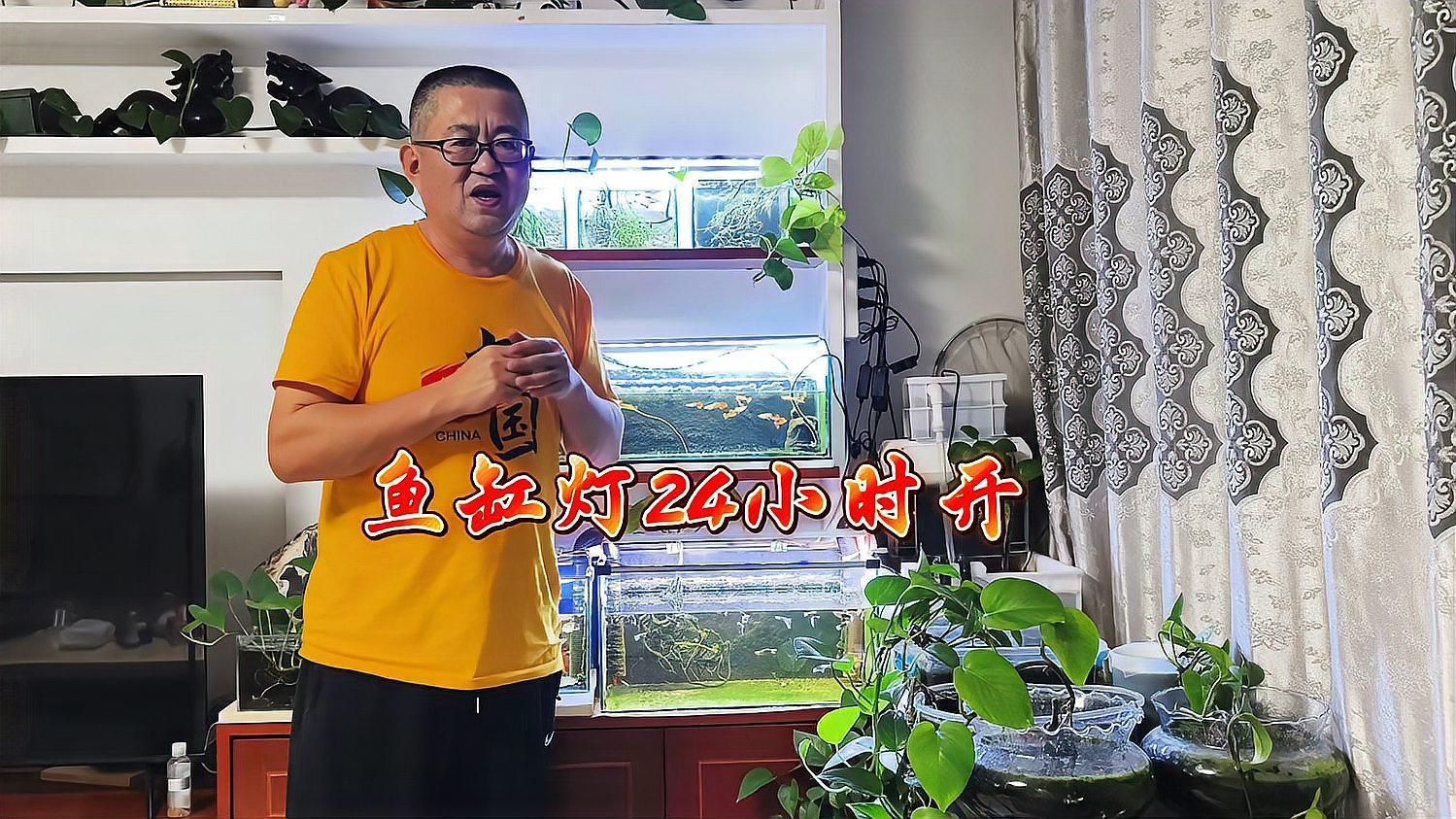 魚缸燈多久開一次合適？，魚缸燈多久開一次合適，魚缸燈多久開一次最佳