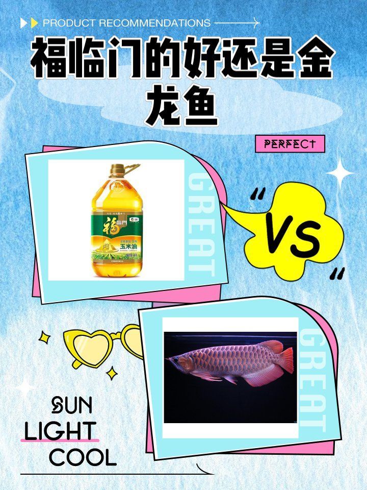 金龍魚和福臨門是什么關系？，金龍魚和福臨門哪個好
