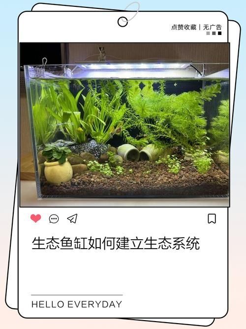 如何預(yù)防金魚再次爛尾，arxiv論文助手預(yù)防金魚再次爛尾思考完成arxiv論文助手