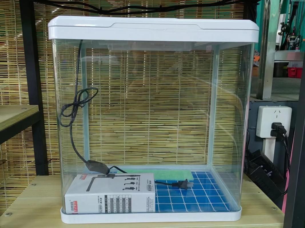 如何預(yù)防金魚再次爛尾，arxiv論文助手預(yù)防金魚再次爛尾思考完成arxiv論文助手