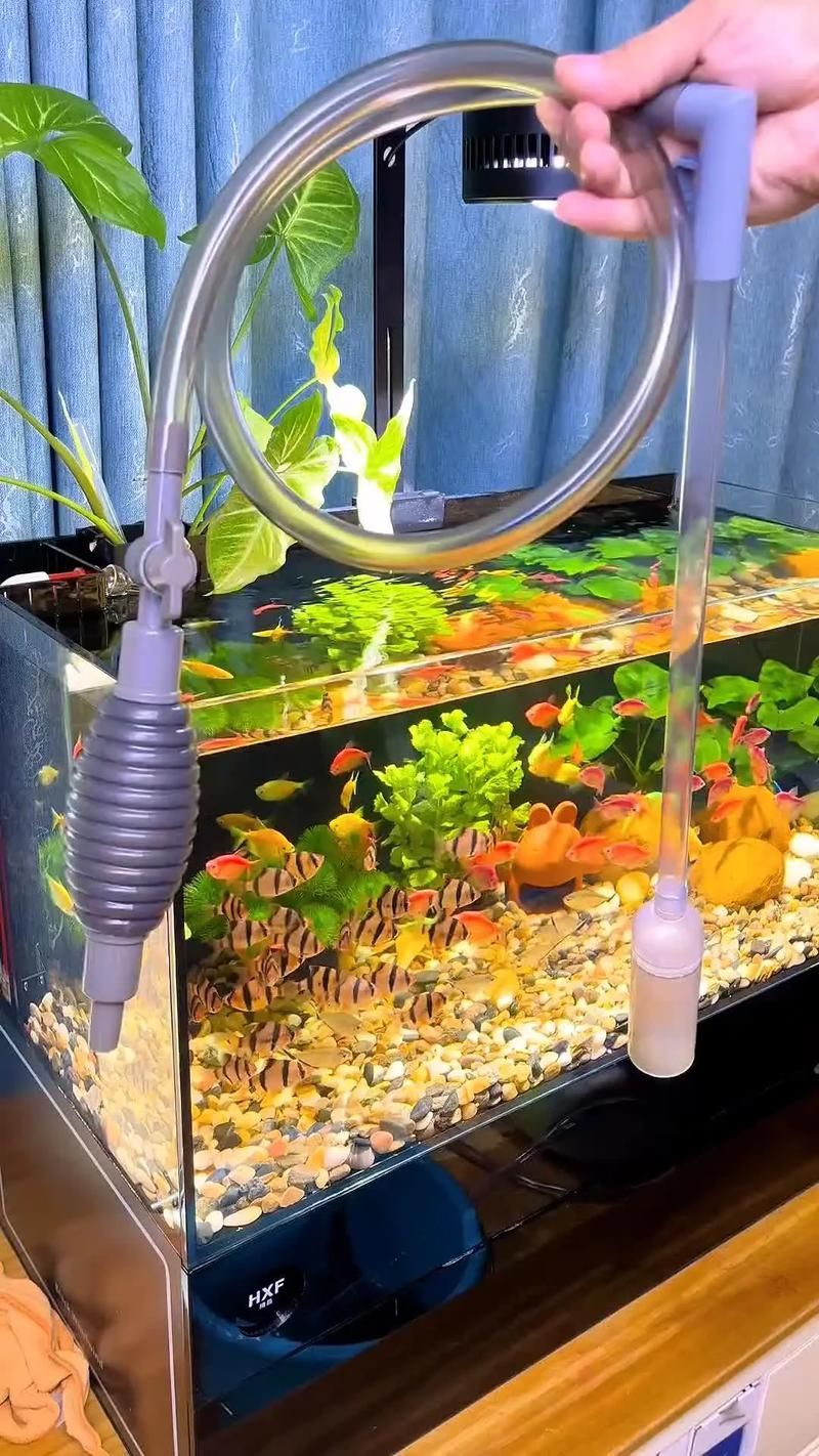 如何預(yù)防金魚再次爛尾，arxiv論文助手預(yù)防金魚再次爛尾思考完成arxiv論文助手