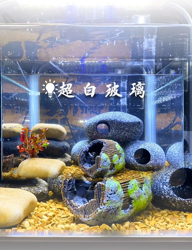如何判斷龍魚魚缸的材質？，判斷龍魚魚缸材質的幾個關鍵因素，龍魚魚缸材質對比清單