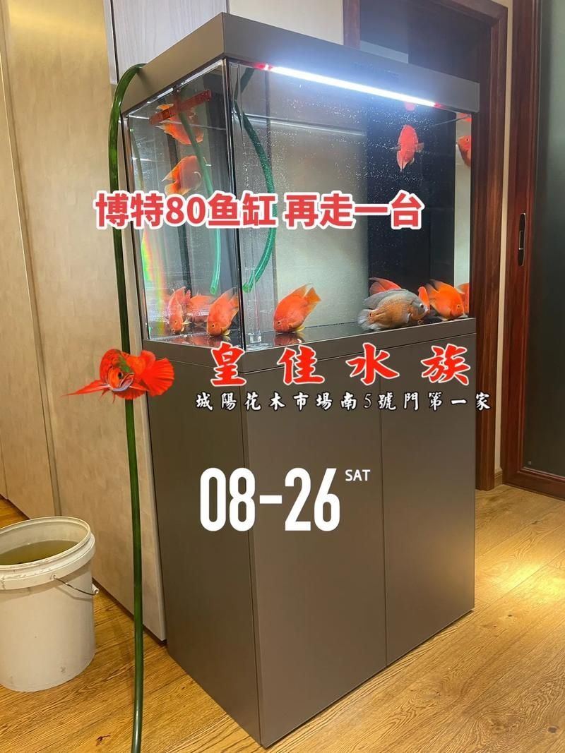 博特魚缸有哪些型號？，博特魚缸哪個型號最好？