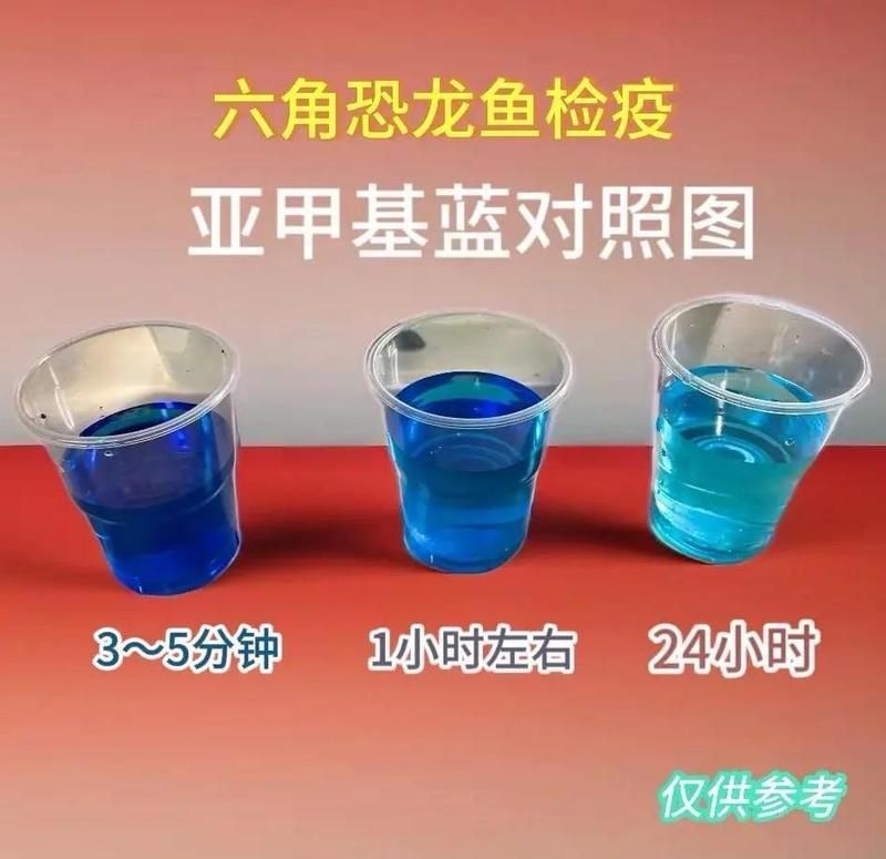 亞甲基藍在什么條件下使用安全，亞甲基藍使用三大禁忌詳解職界靈通亞甲基藍安全使用指南