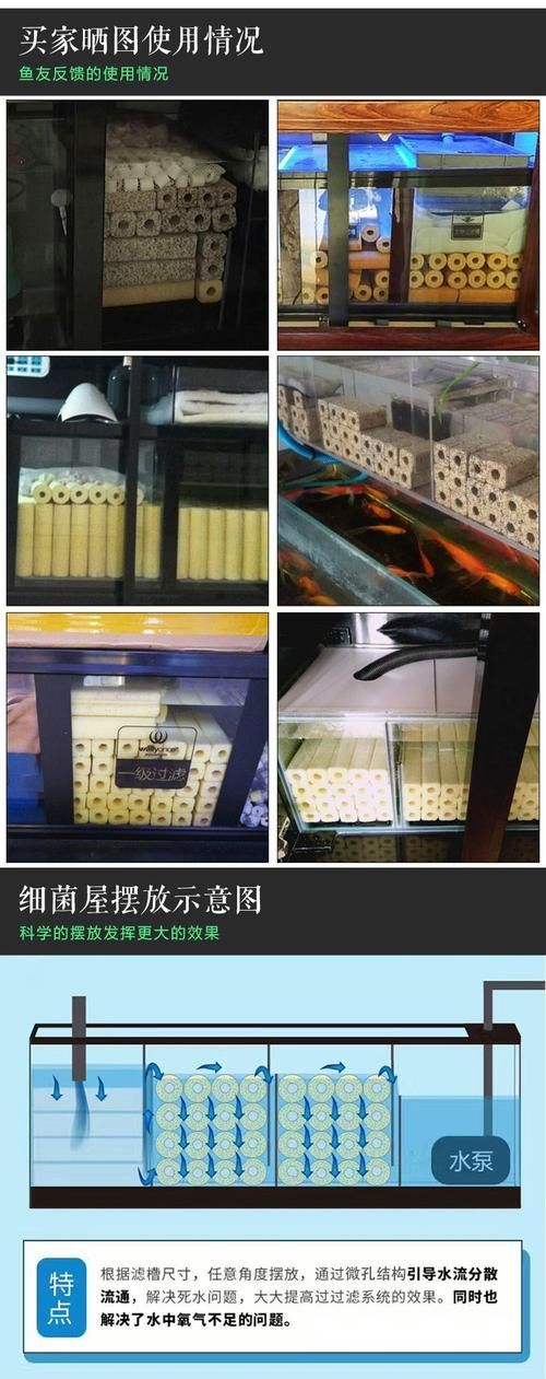 如何選擇適合的魚缸濾材，選擇適合的魚缸濾材是確保水質清潔和魚類健康的關鍵