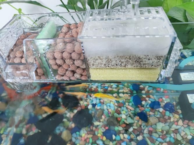 如何選擇適合的魚缸濾材，選擇適合的魚缸濾材是確保水質清潔和魚類健康的關鍵