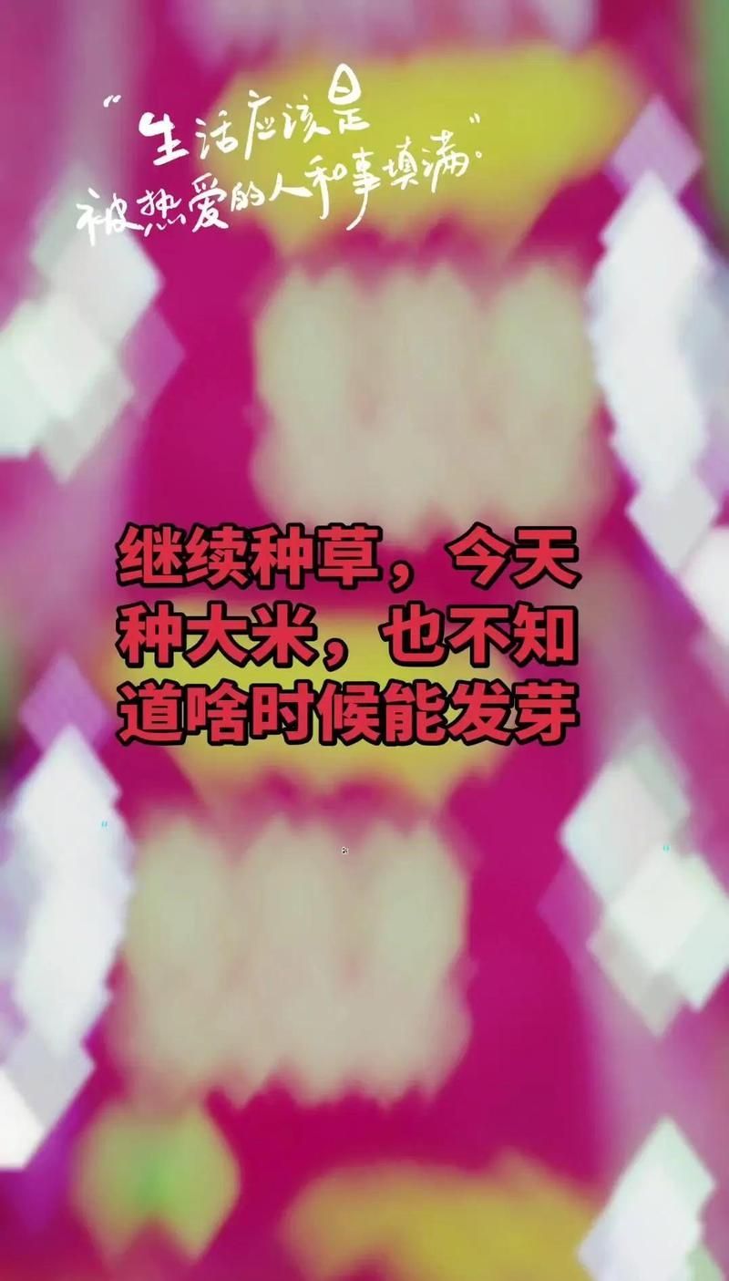金龍魚和道可道大米哪個更香？，金龍魚和道可道大米哪個更香金龍魚大米香氣撲鼻
