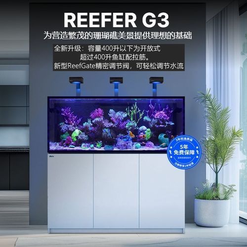 Red Sea、CADE、Waterbox哪個(gè)品牌口碑最好？