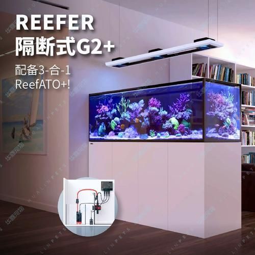 Red Sea、CADE、Waterbox哪個(gè)品牌口碑最好？