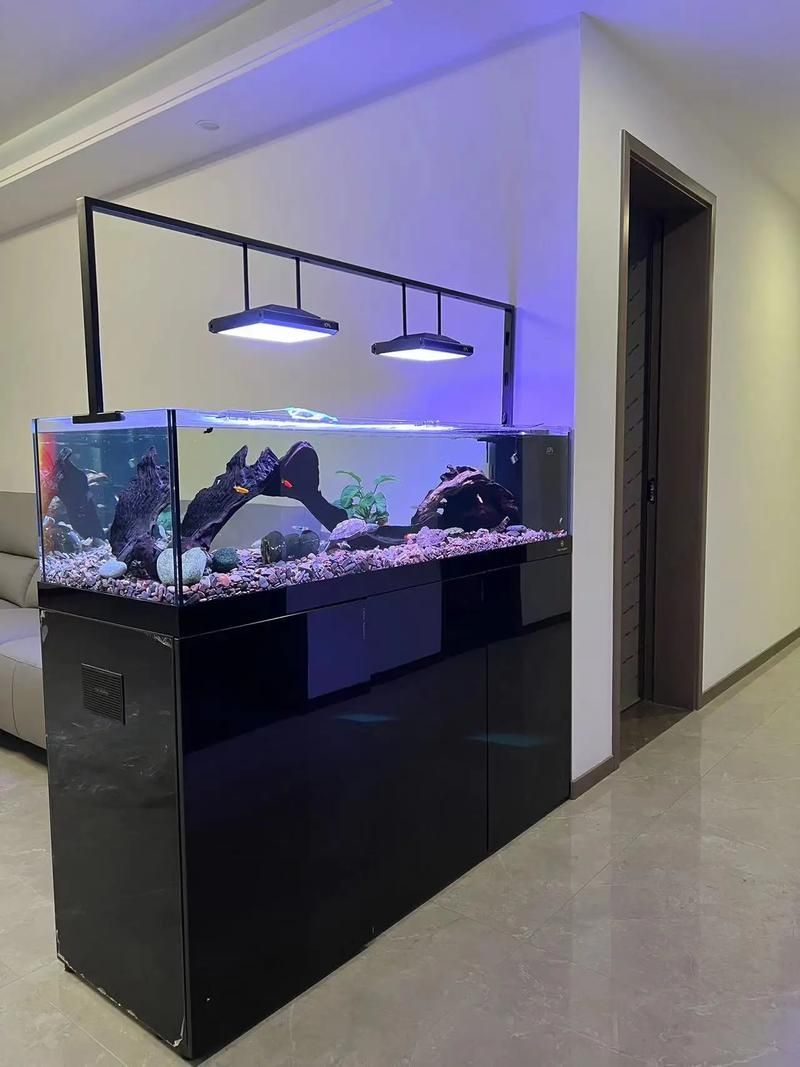 給我推薦幾款可麗愛的高端魚缸，幾款可麗愛高端魚缸推薦