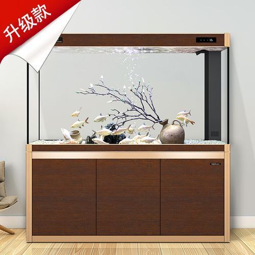給我推薦幾款可麗愛的高端魚缸，幾款可麗愛高端魚缸推薦