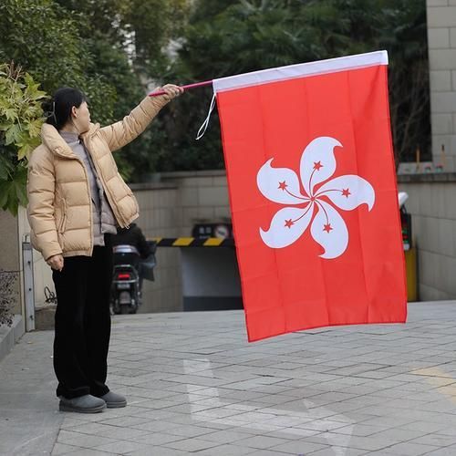 紅龍旗設(shè)計的歷史背景，紅龍旗的設(shè)計歷史背景