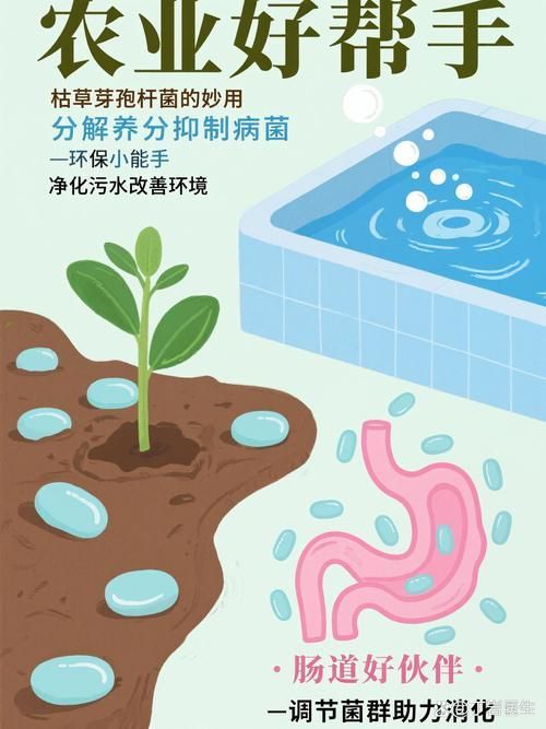 有哪些益生菌適合放在魚缸里？，水產養殖與觀賞魚缸中的益生菌的使用